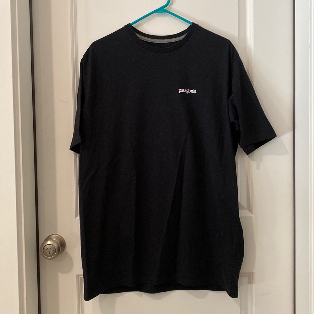 Patagonia T shirt
